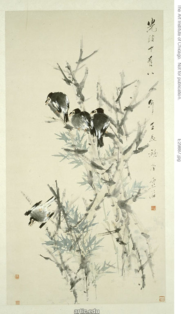 Black Birds: Xugu,16x12
