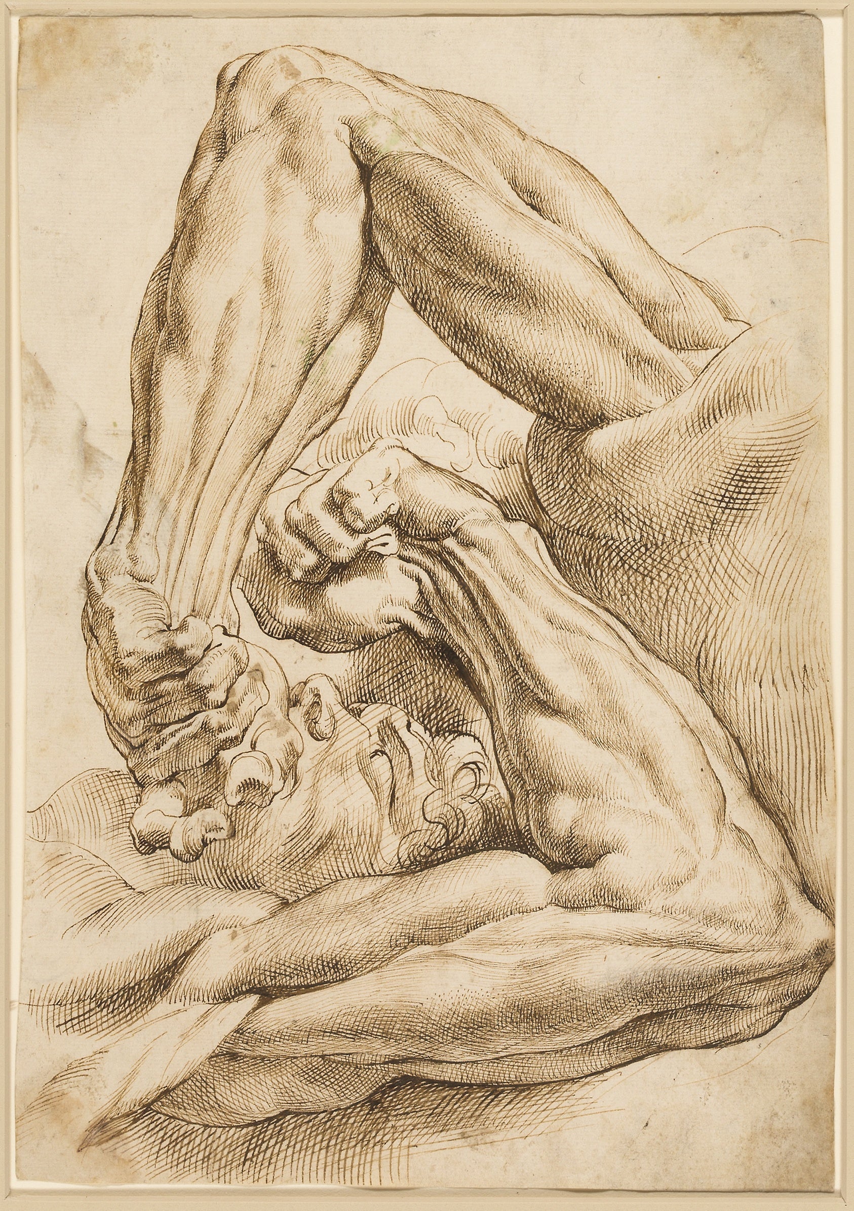 A Sheet of Anatomical Studies: Peter Paul Rubens,16x12"(A3) Poster