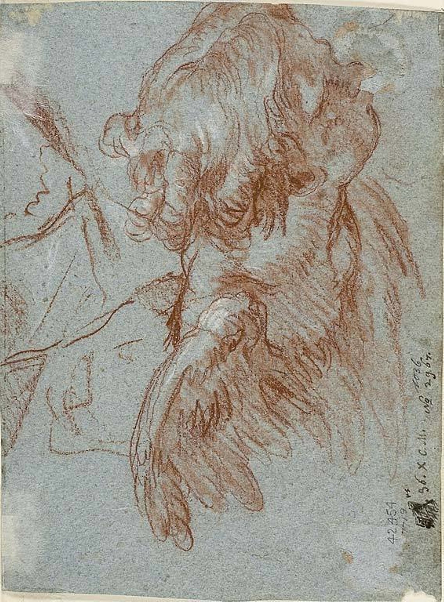 Study for Detail -  Head of a Cherub -  Attributed to Giambattista Tiepolo,  Poster Print Wall Art