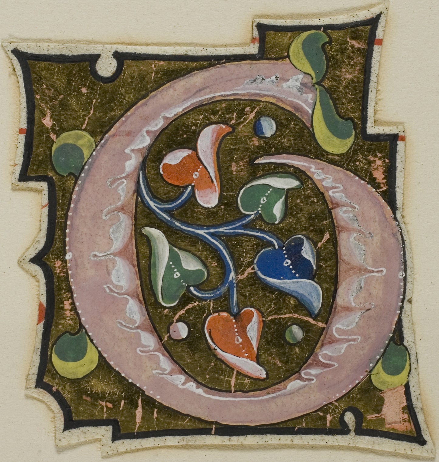 Decorated Initial "G" in Pink with Curling Leaves from a Manuscript -  European,  Poster Print Wall Art