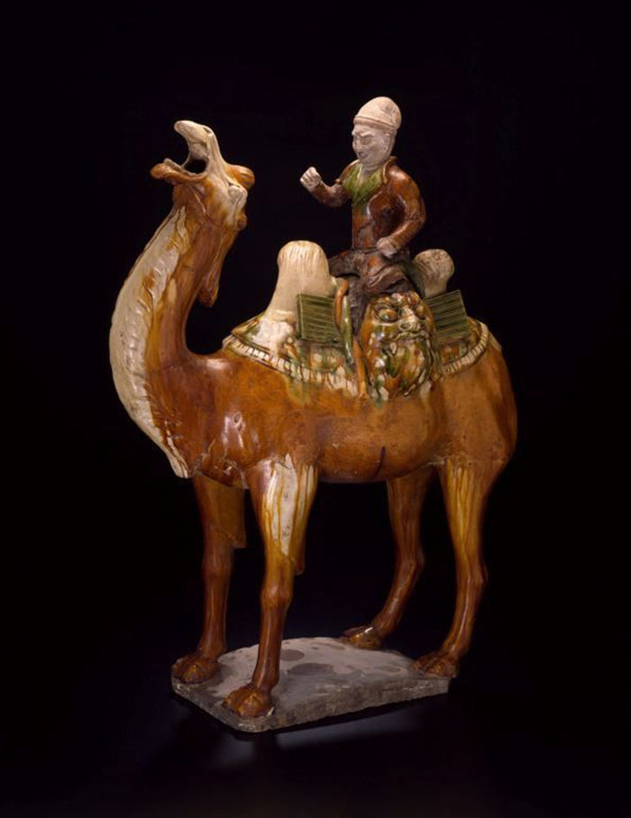 Camel: China,16x12