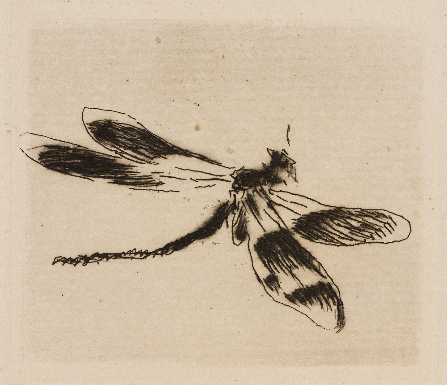 Dragonfly, plate 1 from Le Fleuve -  Édouard Manet (French, 1832-1883),  Poster Print Wall Art