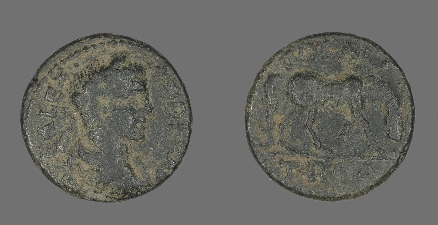 Coin Portraying Emperor Severus Alexander -  Roman,  Poster Print Wall Art