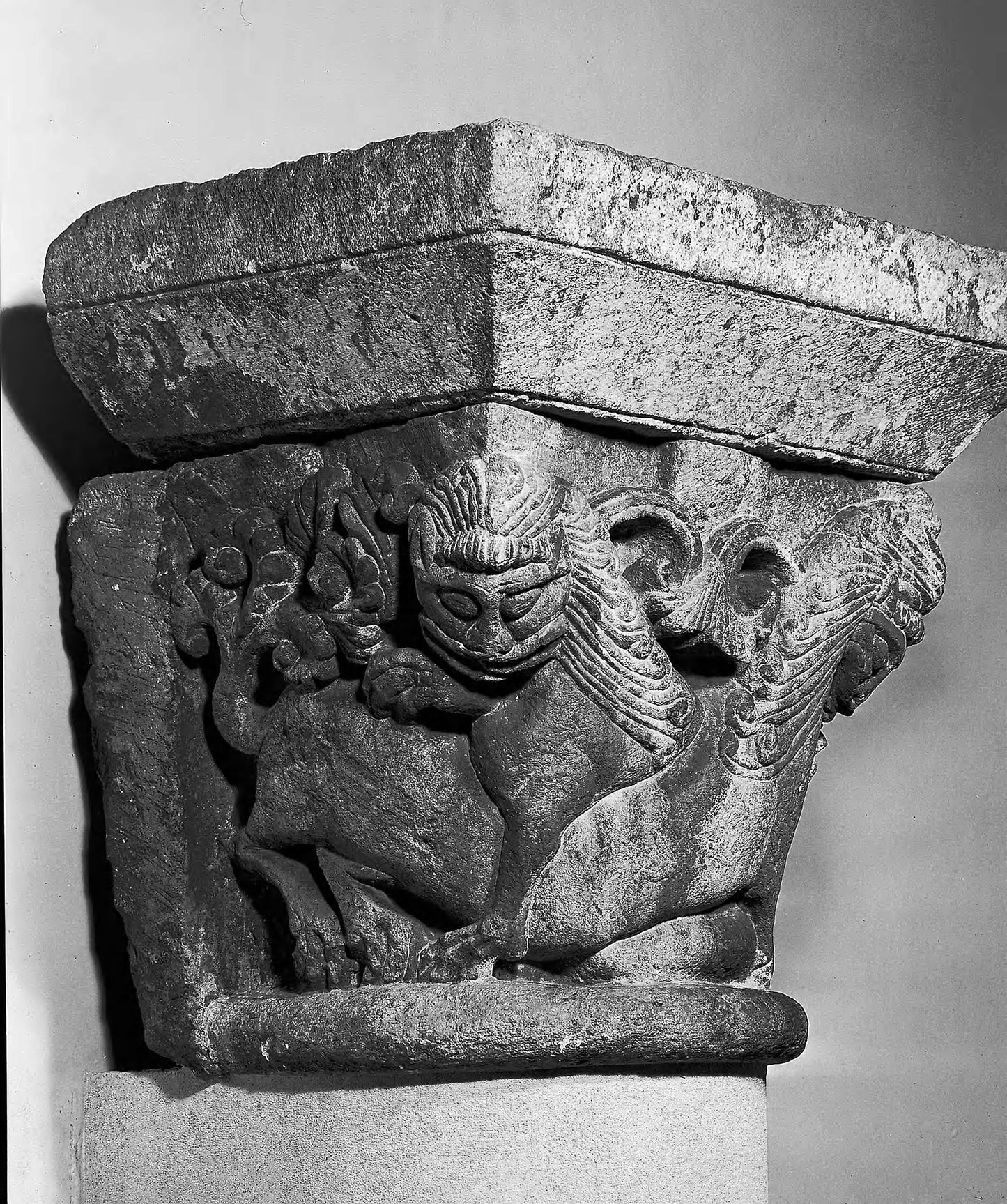 Capital with Lions -  French, Charente,  Poster Print Wall Art