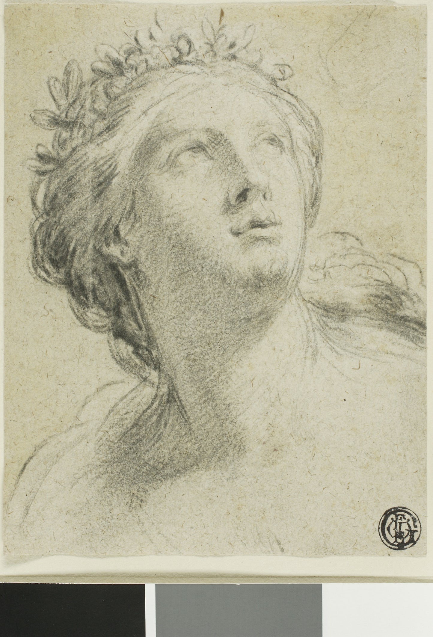 Head of a Woman -  Eustache Le Sueur,  Poster Print Wall Art