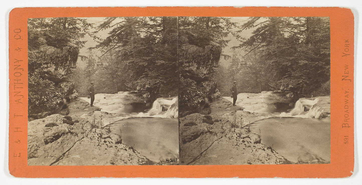 Section of the Original Big Tree, 92 ft. in circumference -  Anthony & Company,  Poster Print Wall Art