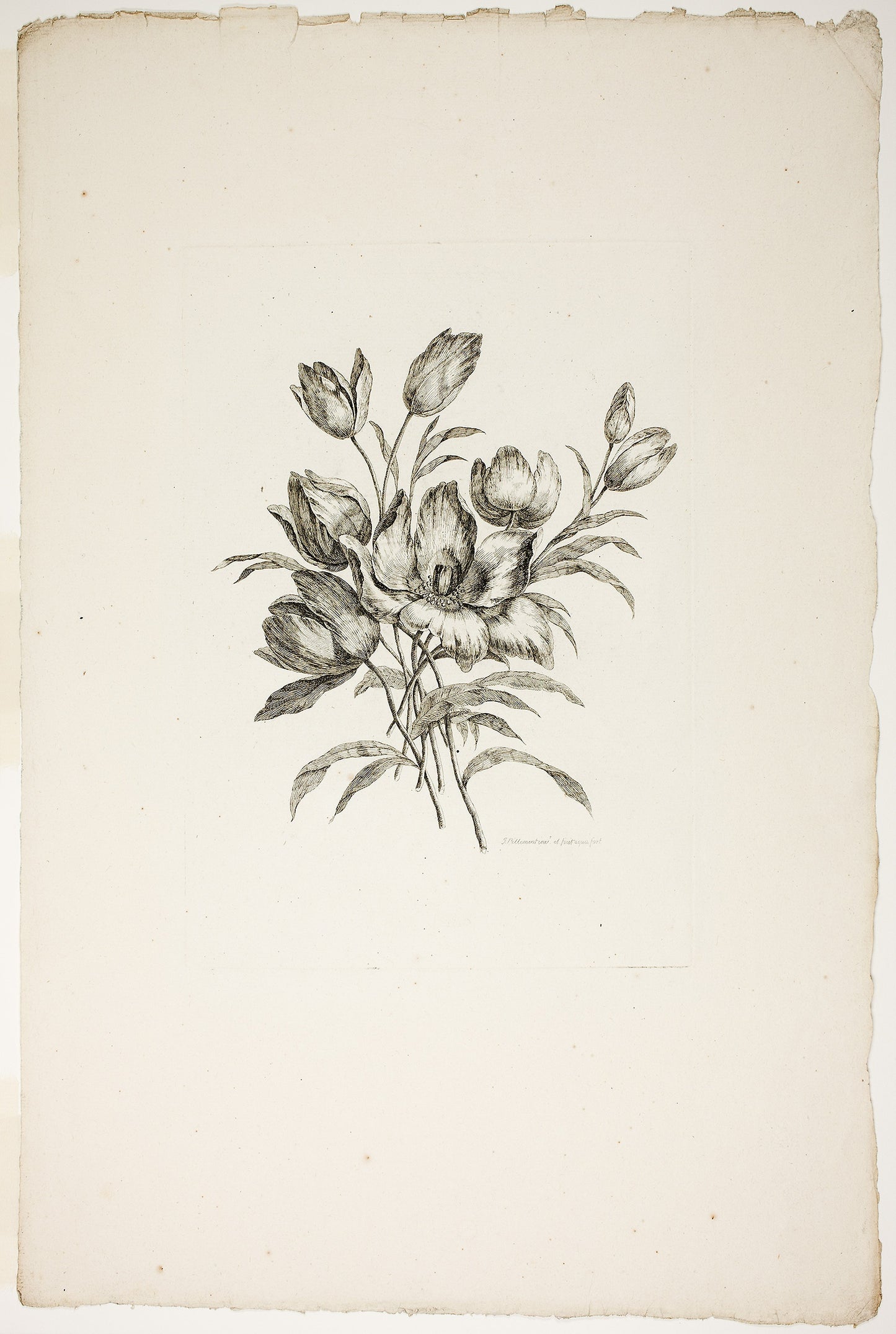 Bouquet with Tulips, from Collection of Different Bouquets of Flowers, Invented and Drawn -  Jean Pillement and Engraved -  P. C. Canot -  Pierre-Charles Canot (French, 1710-1777),  Poster Print Wall Art