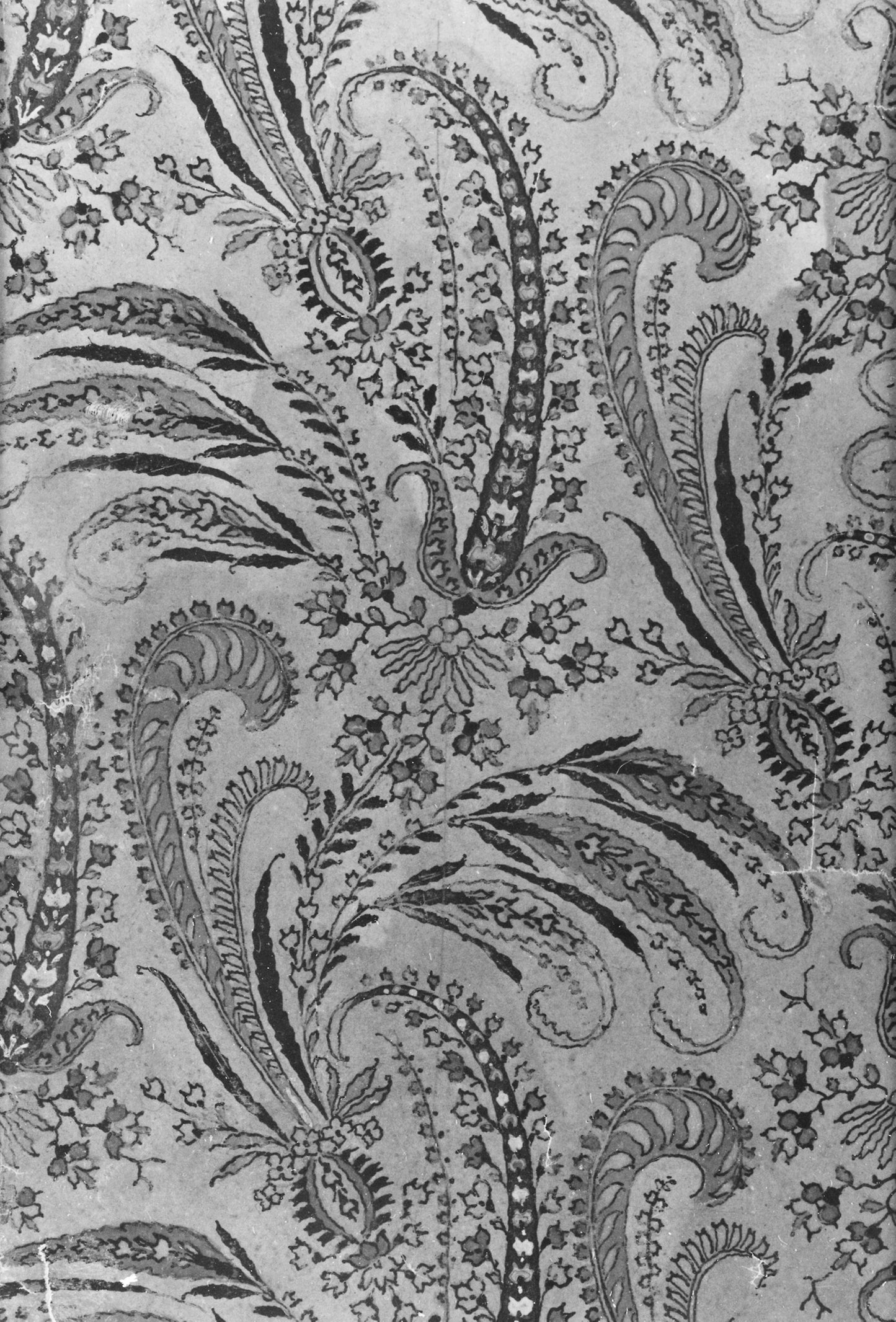 Book of 81 Painted Designs for Woven Textiles (Volume I) -  France,  Poster Print Wall Art