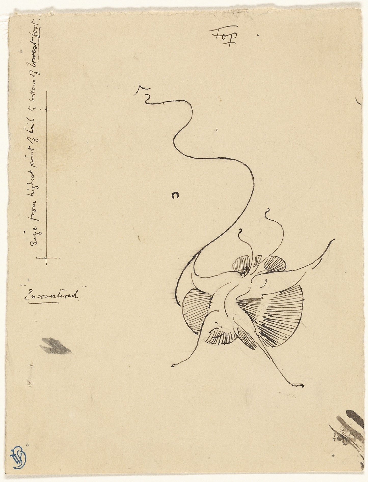 Butterfly "Encountered" (recto); Sketch for Tailpiece (verso) -  James McNeill Whistler,  Poster Print Wall Art