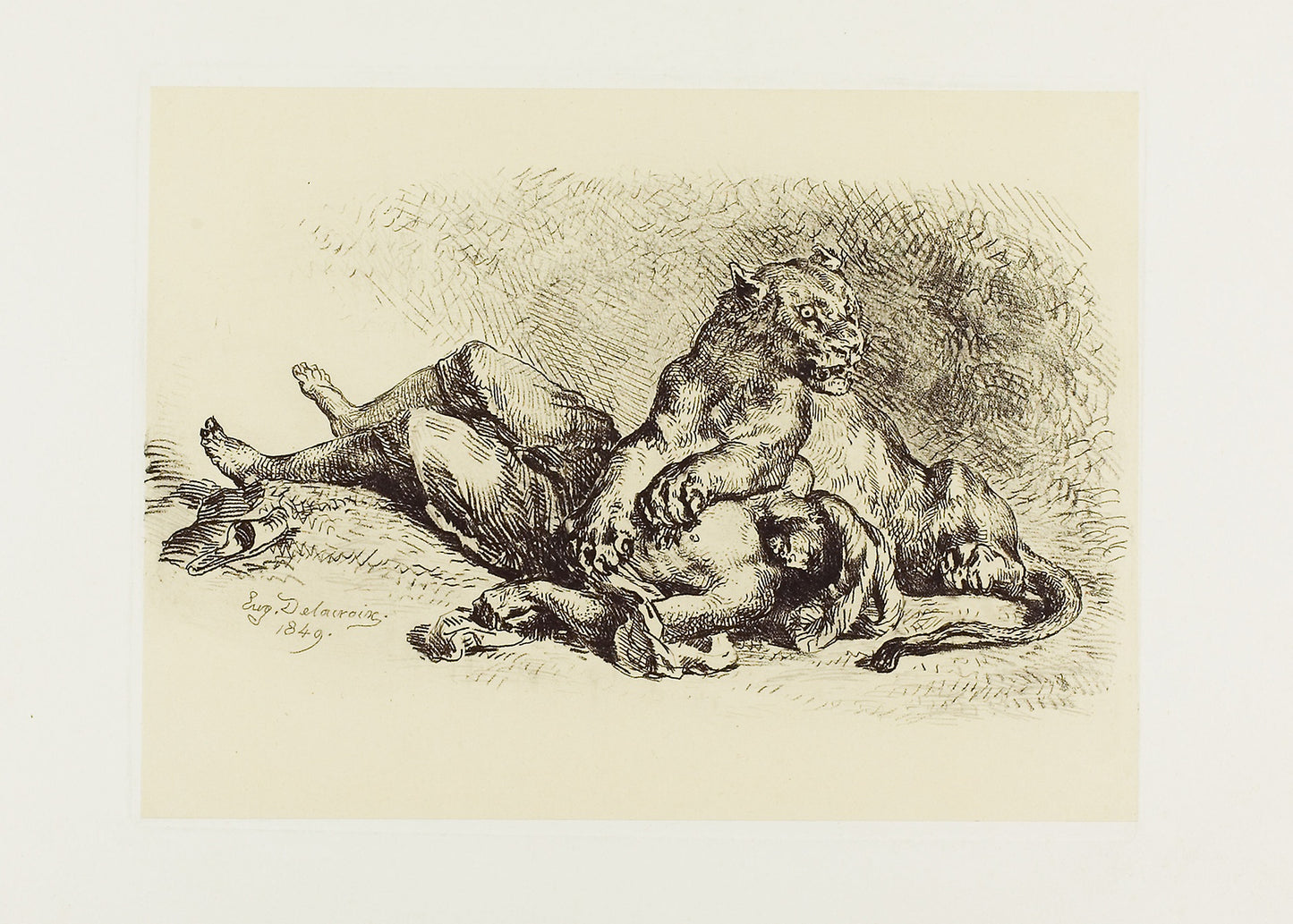 Lioness Tearing at the Chest of an Arab -  Eugène Delacroix,  Poster Print Wall Art