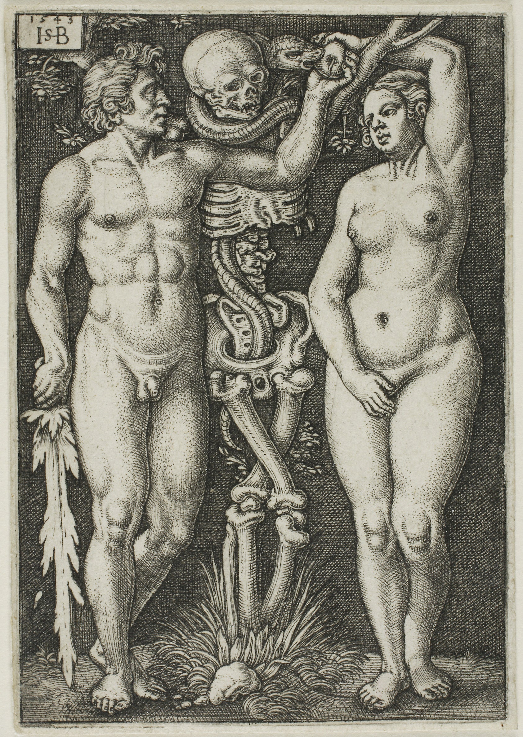 Adam and Eve: Sebald Beham (German, 1500-1550),16x12"(A3) Poster