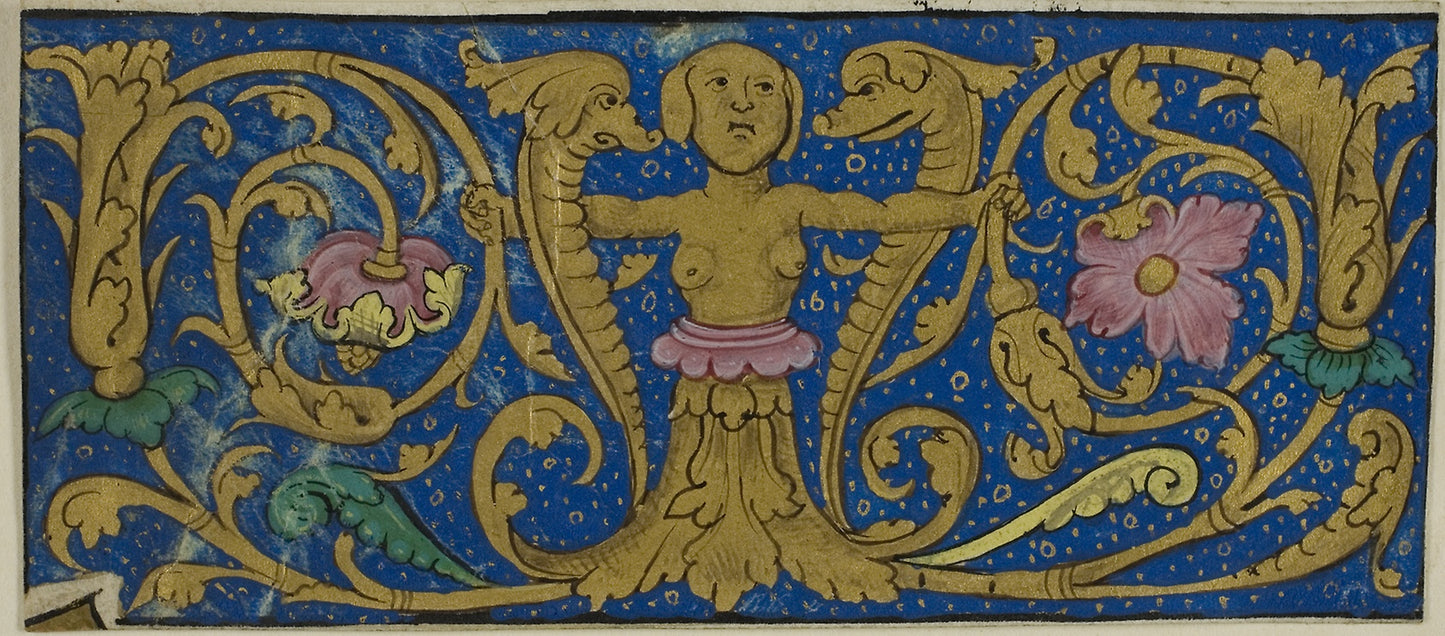 Illuminated Border with Grotesques and Flora from a Manuscript: French, Poster Print Wall Art