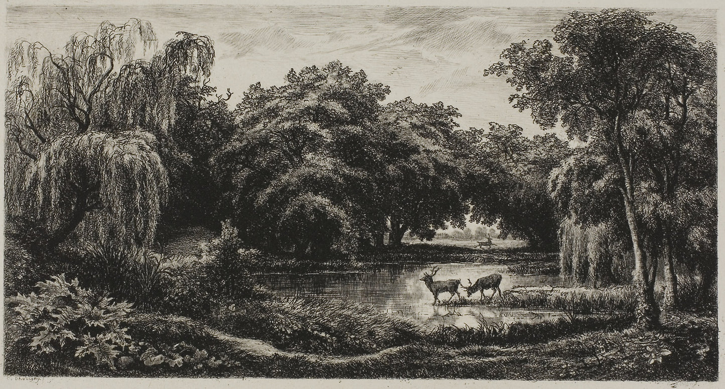 Marsh with Stags -  Charles François Daubigny,  Poster Print Wall Art