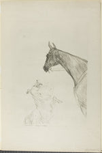 Horse and Collie: Henri de Toulouse-Lautrec,16x12"(A3) Poster