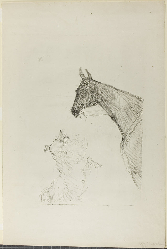 Horse and Collie: Henri de Toulouse-Lautrec,16x12