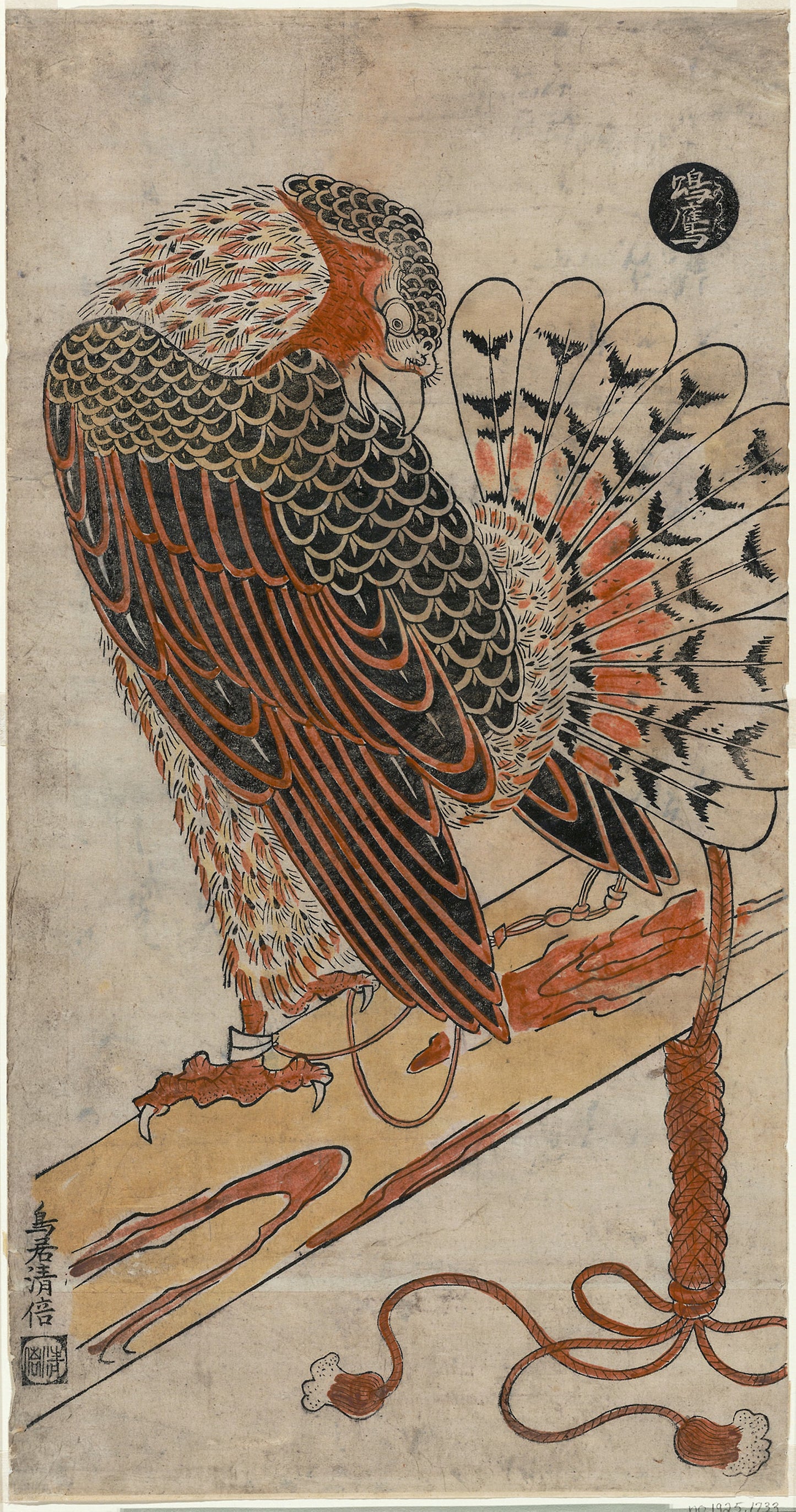 Sparrowhawk (Konori taka) -  Torii Kiyomasu I,  Poster Print Wall Art