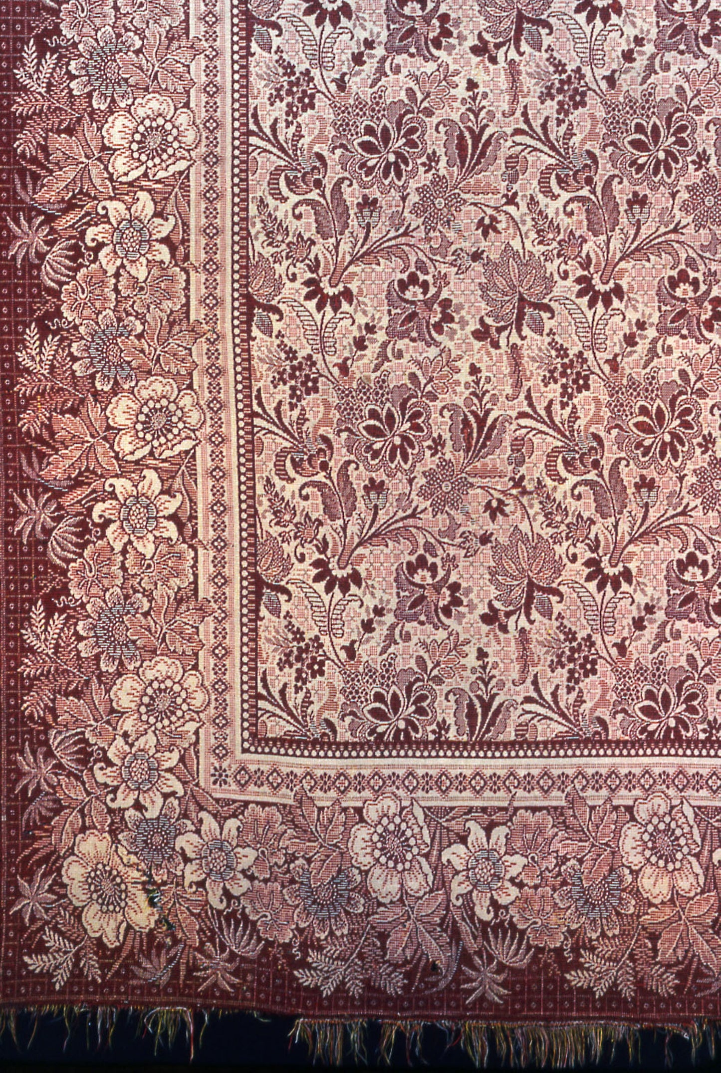 Carpet -  Canada,  Poster Print Wall Art