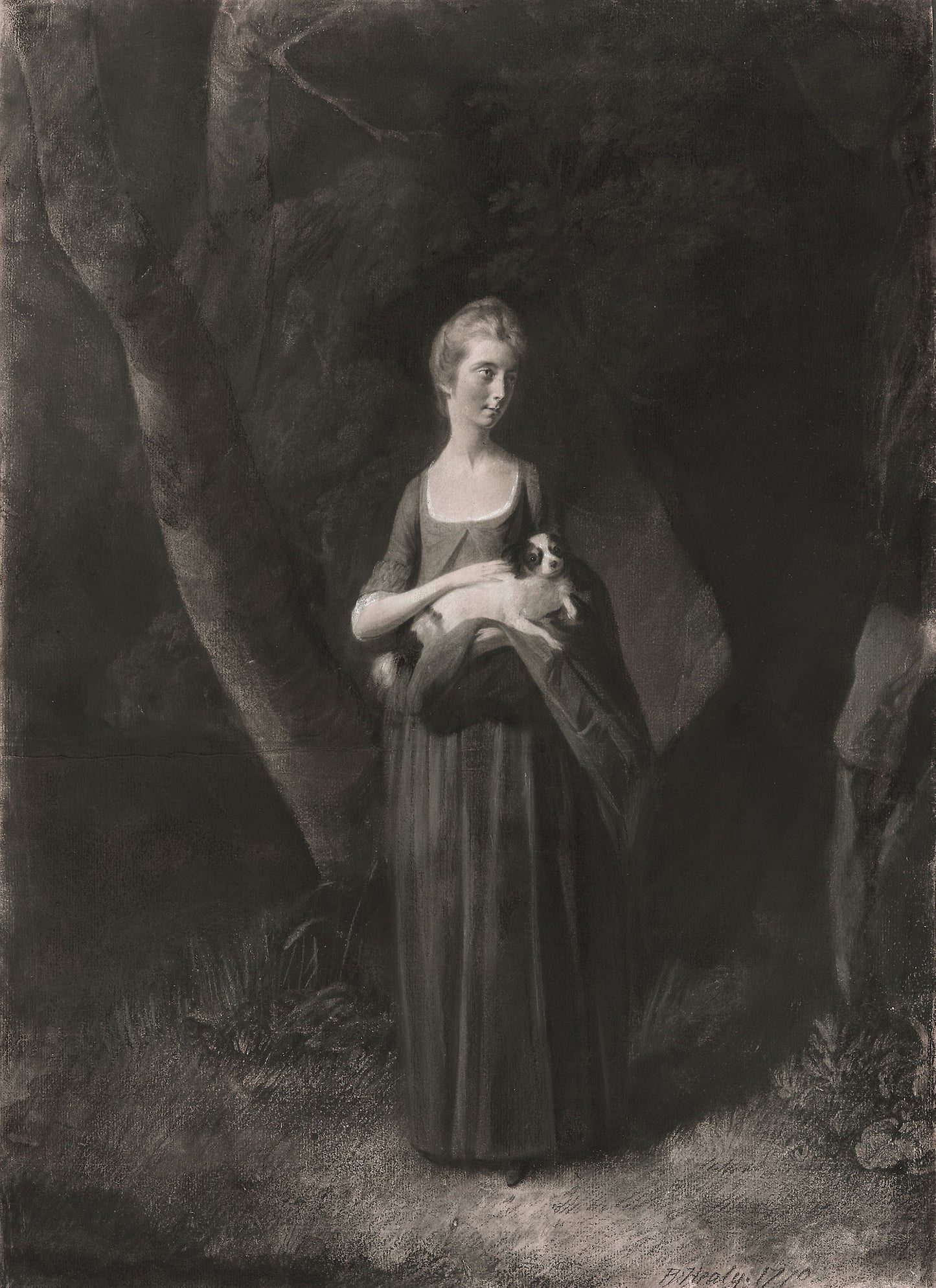 Miss Cunningham Holding Her King Charles Spaniel -  Robert Healy,  Poster Print Wall Art