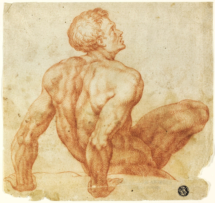 Seated Male Nude: after Michelangelo Buonarroti,16x12