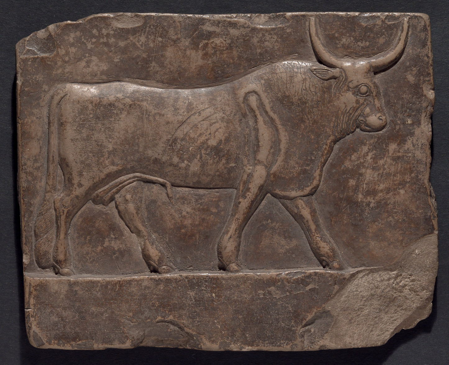 Relief of a Bull -  Egyptian,  Poster Print Wall Art