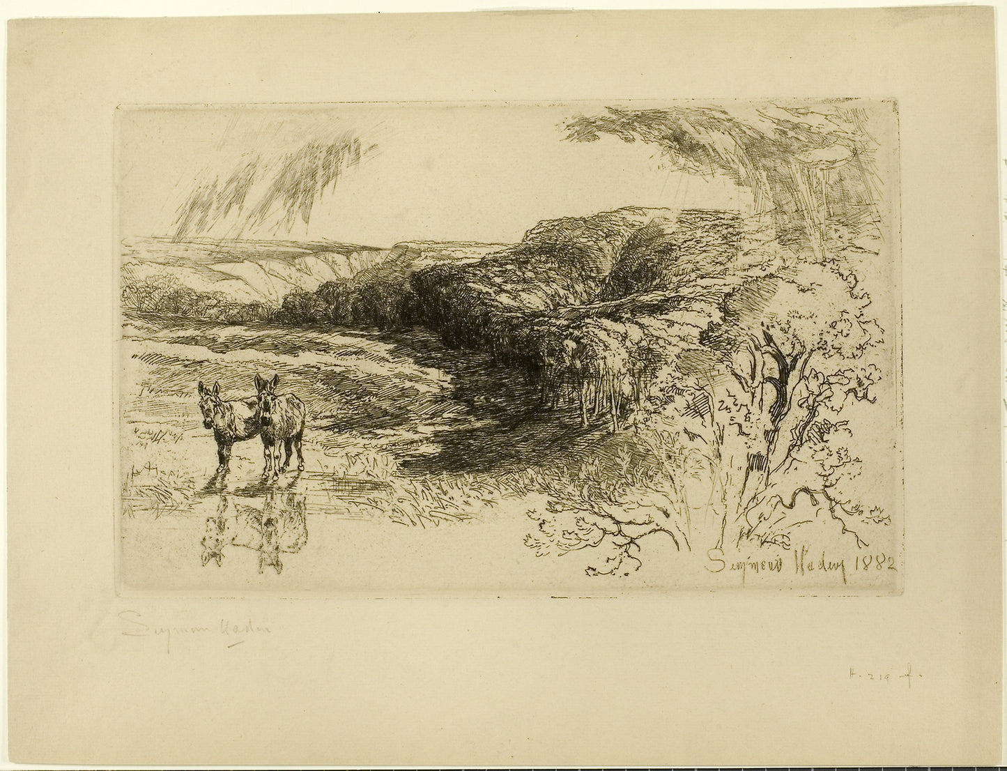 Encombe Woods, No. II -  Francis Seymour Haden,  Poster Print Wall Art