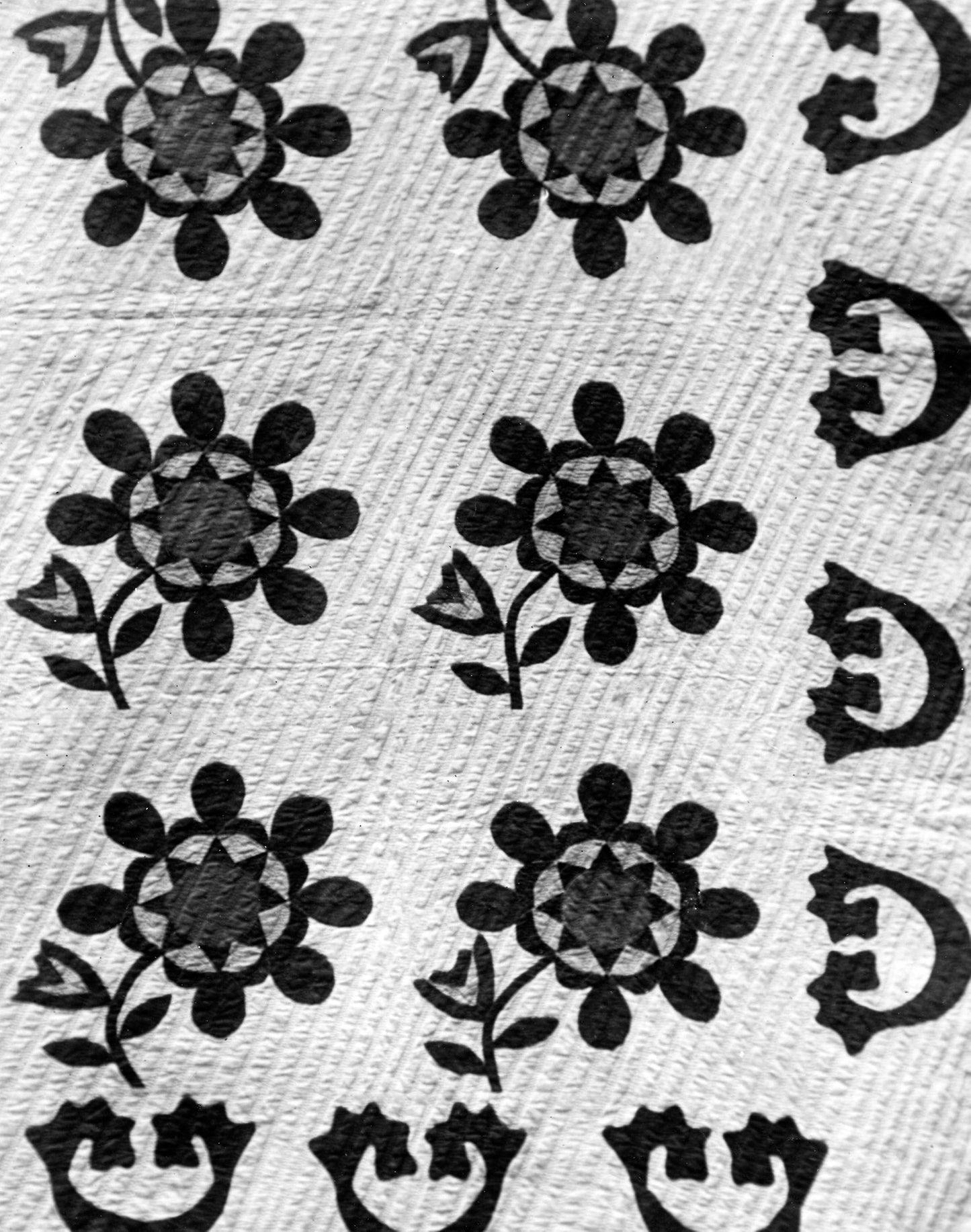 Bedcover (Harvest Rose or Rose of Sharon Quilt) -  United States,  Poster Print Wall Art