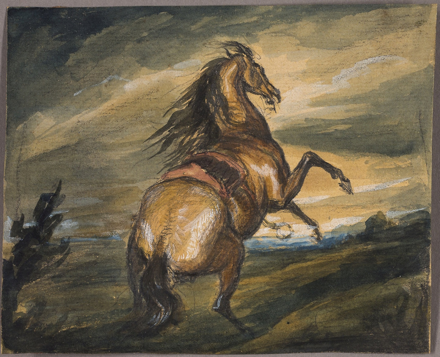 Rearing Horse: Attributed to Edwin Henry Landseer (English, 1802-1873),16x12"(A3) Poster