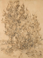 Cypresses: Vincent van Gogh,16x12"(A3) Poster
