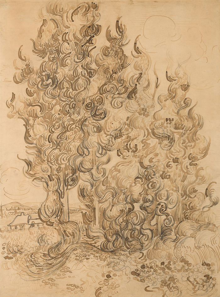 Cypresses: Vincent van Gogh,16x12