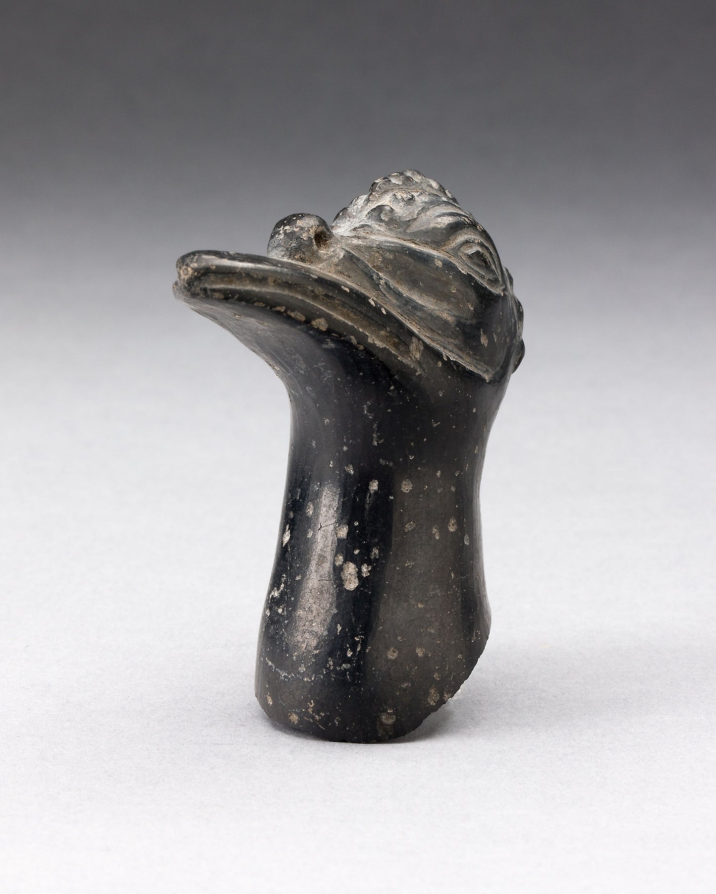 Fragment from a Blackware Vessel in the Form of a Crested Bird Head -  Chimú,  Poster Print Wall Art