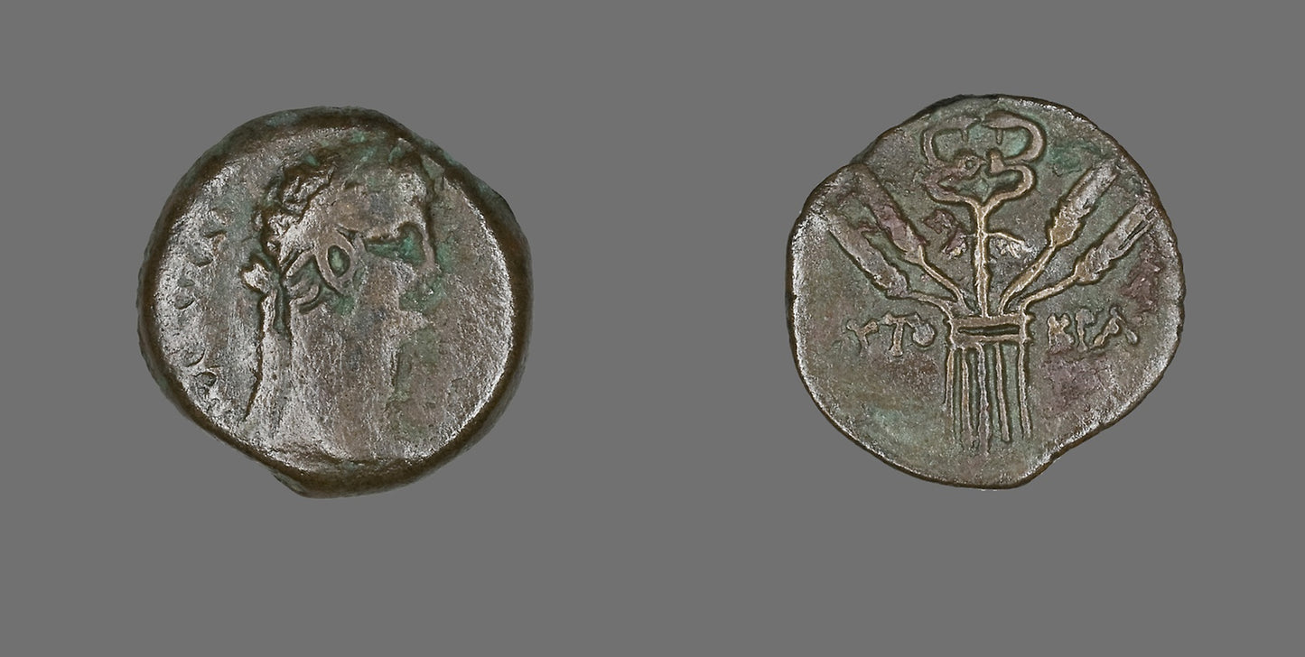 Coin Portraying Emperor Claudius -  Roman, minted in Alexandria, Egypt,  Poster Print Wall Art