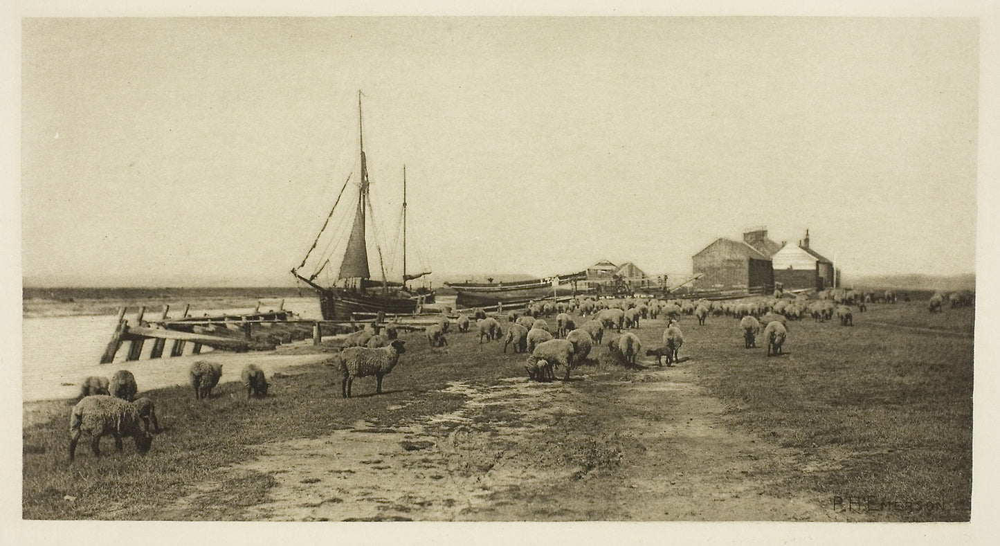 Blackshore, River Blythe (Suffolk) -  Peter Henry Emerson,  Poster Print Wall Art