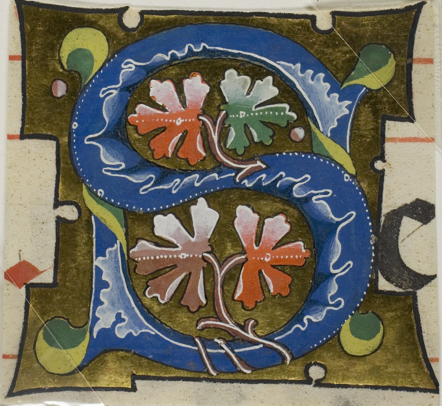Decorated Initial "S" with Flowers from a Choirbook -  Unknown Artist,  Poster Print Wall Art