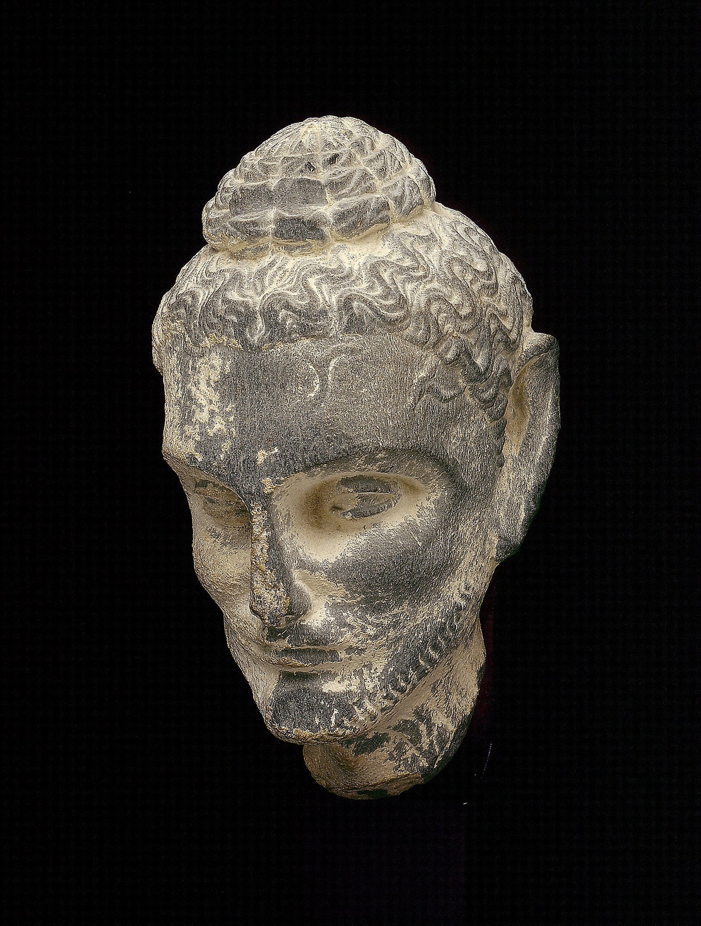 Head of Emaciated Siddhartha -  Pakistan,  Poster Print Wall Art