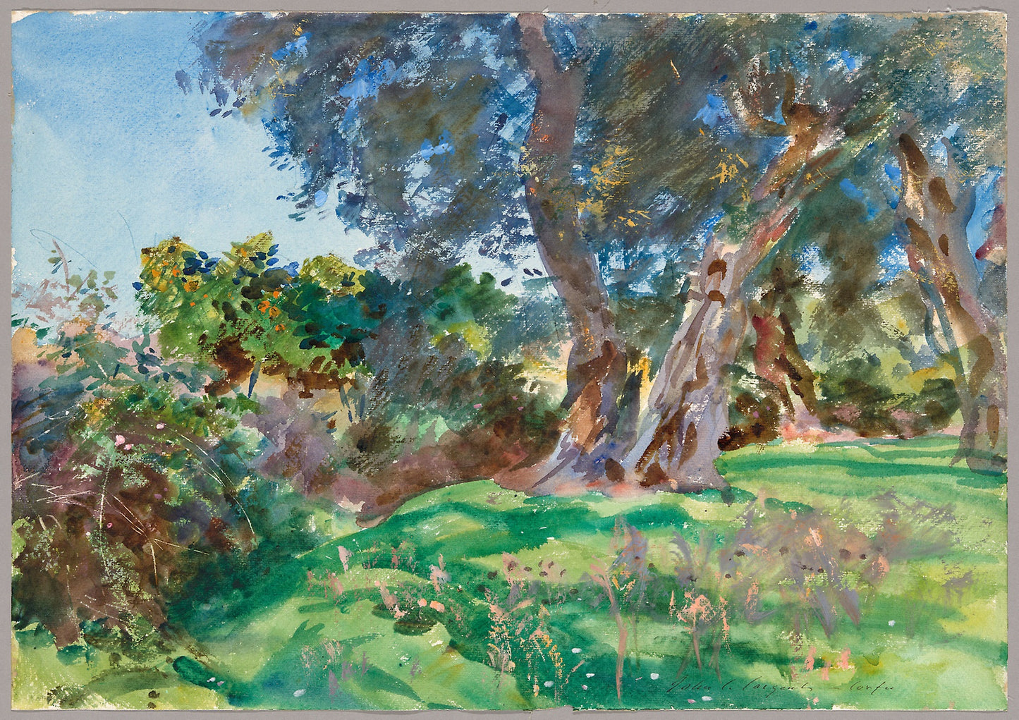 Olive Trees, Corfu -  John Singer Sargent,  Poster Print Wall Art