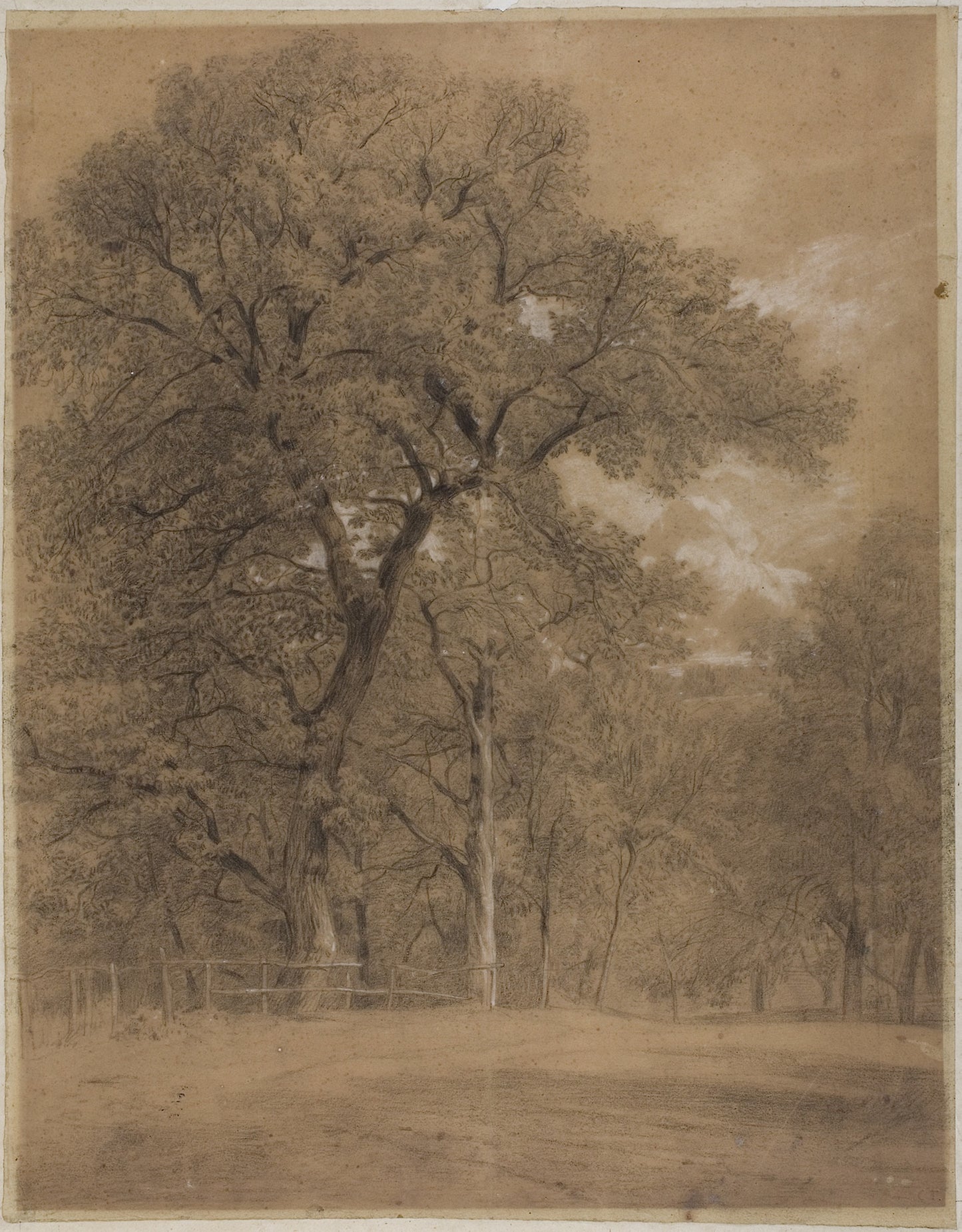 Edge of a Forest -  Constant Troyon,  Poster Print Wall Art