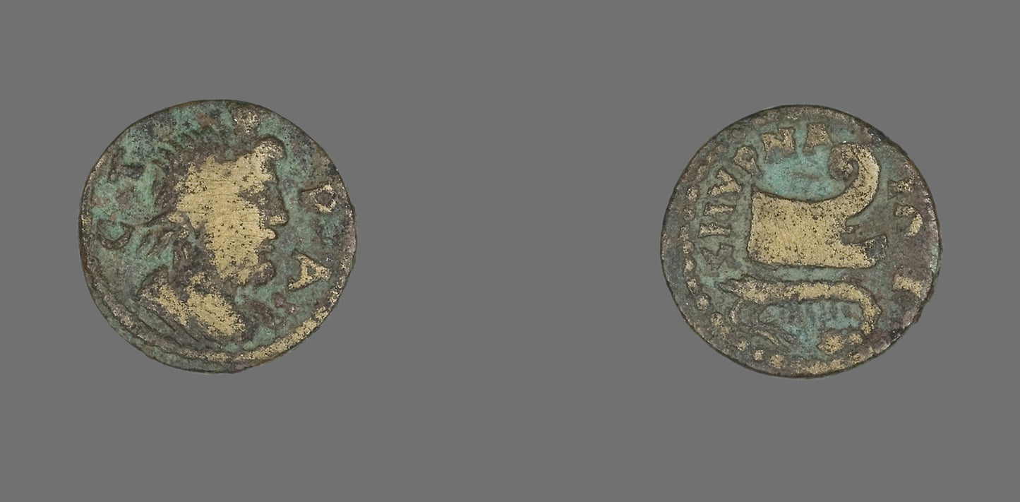 Coin Depicting the God Serapis -  Roman, minted in Smyrna, Ionia,  Poster Print Wall Art