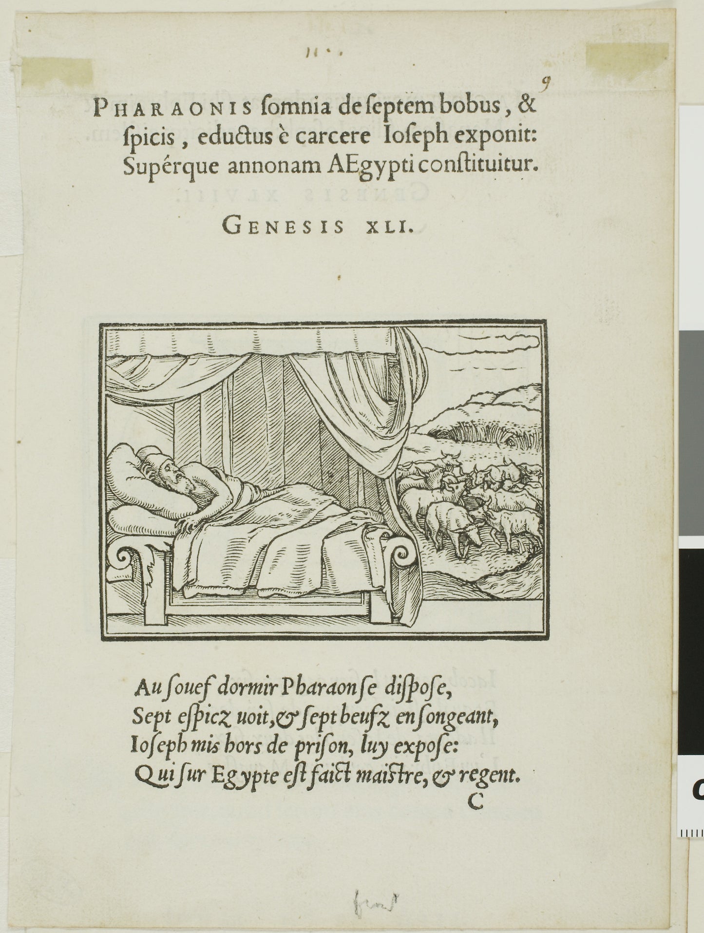 Pharoah's Dream (recto); Jacob Adopts Sons of Joseph (verso) -  Hans Holbein, the younger,  Poster Print Wall Art