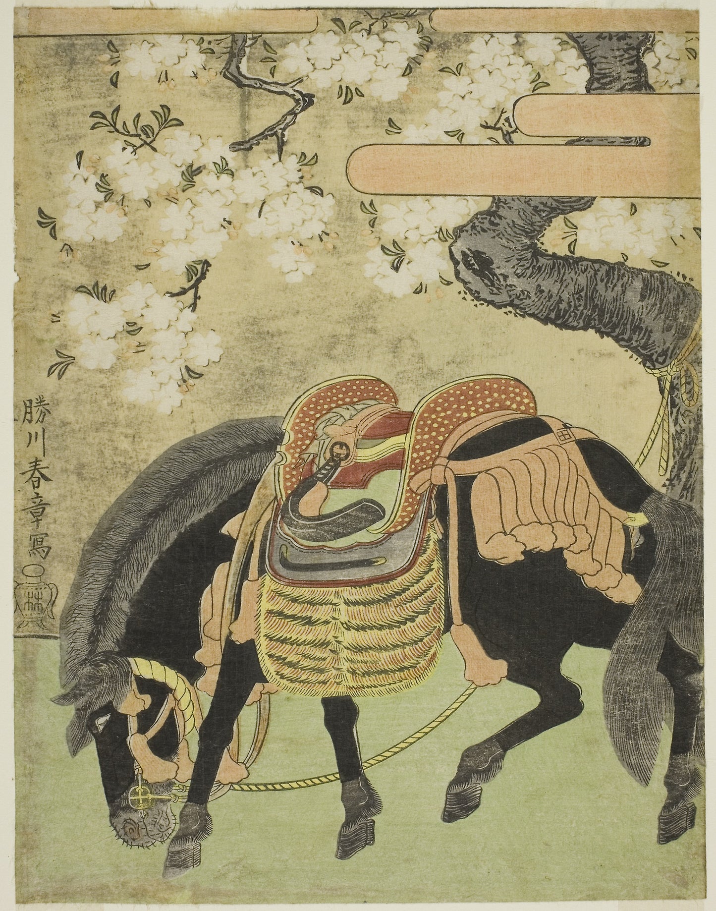 Black Horse Tethered under a Blossoming Cherry Tree -  Katsukawa Shunsho ?? ??,  Poster Print Wall Art