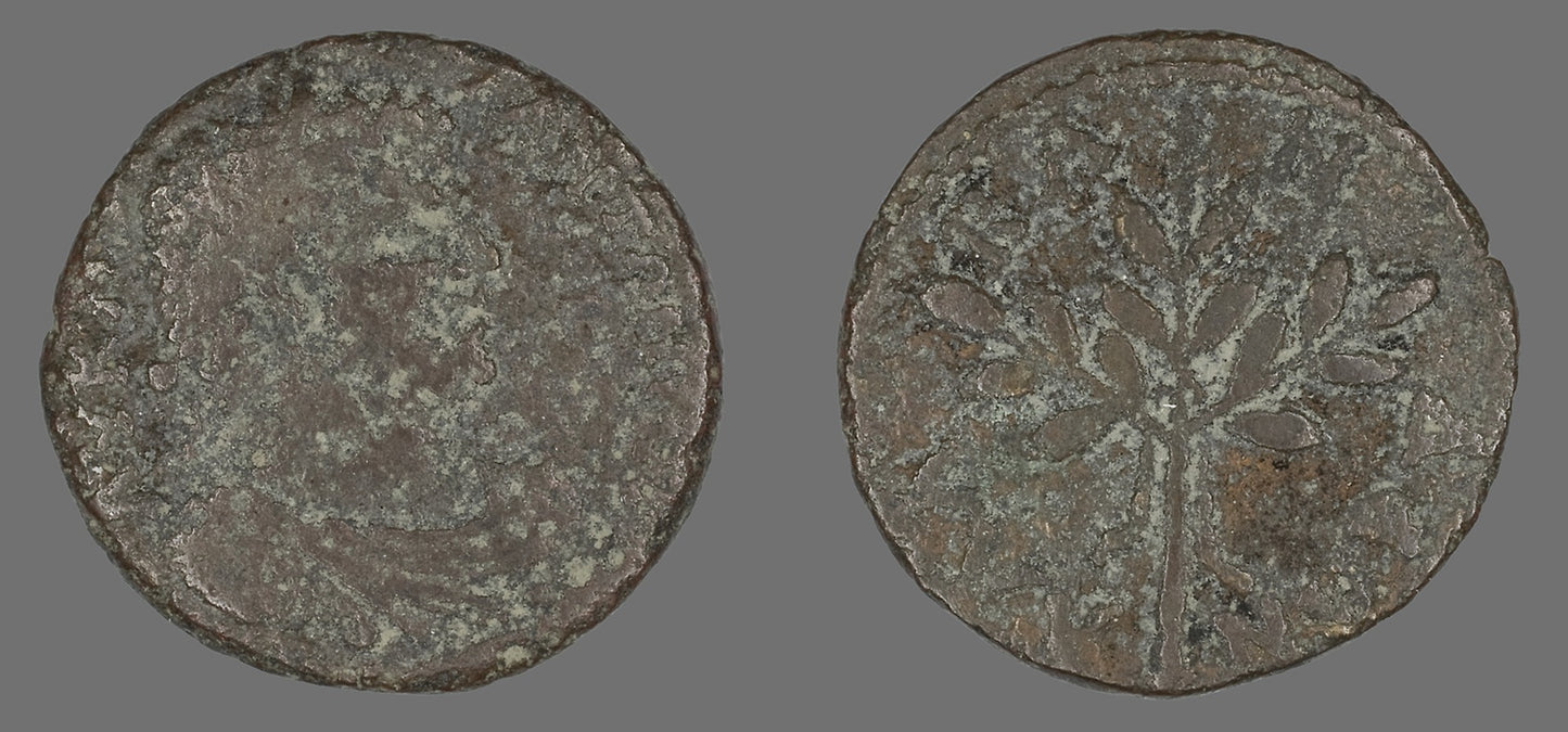 Coin Portraying Emperor Caracalla -  Roman,  Poster Print Wall Art