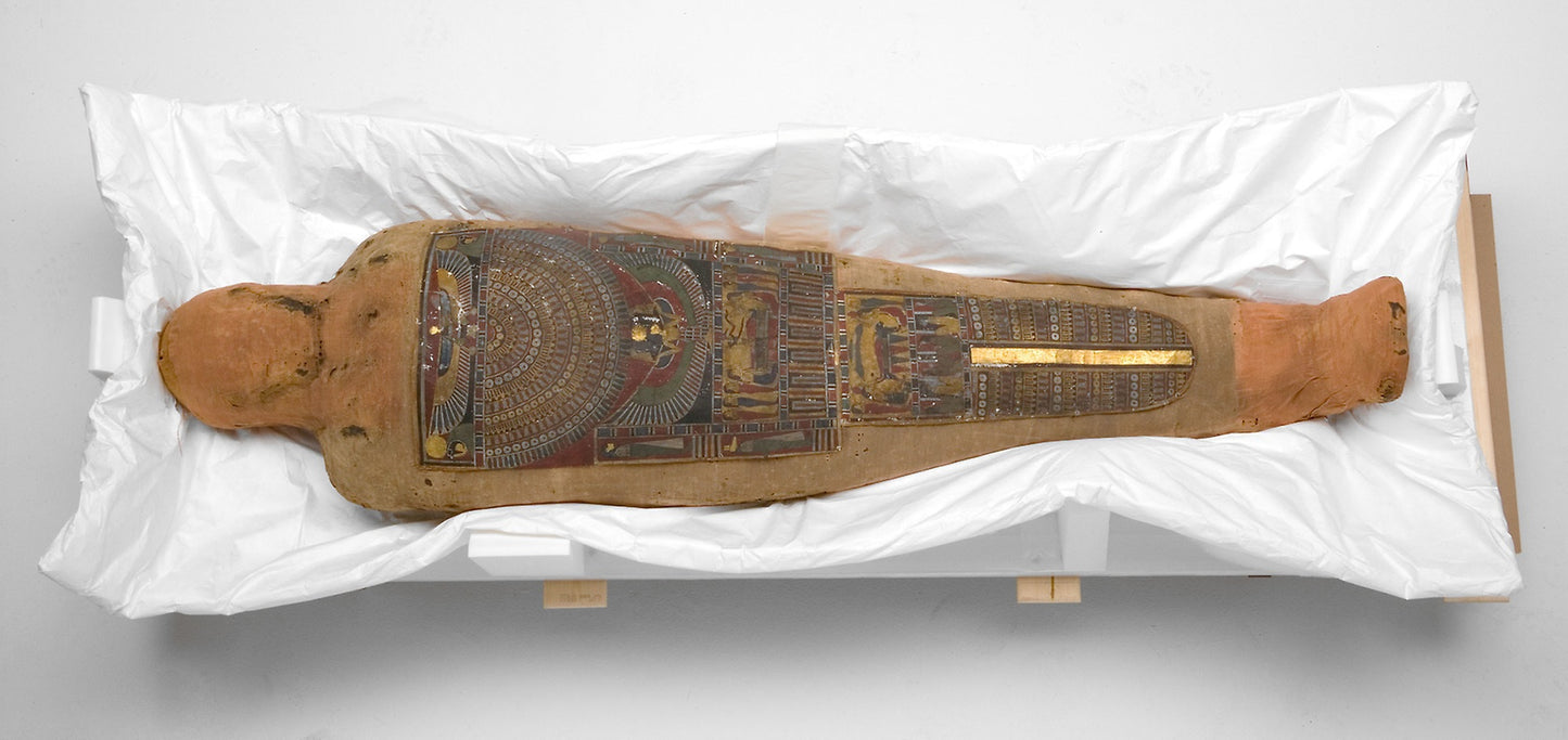 Mummy of a Man -  Egyptian,  Poster Print Wall Art