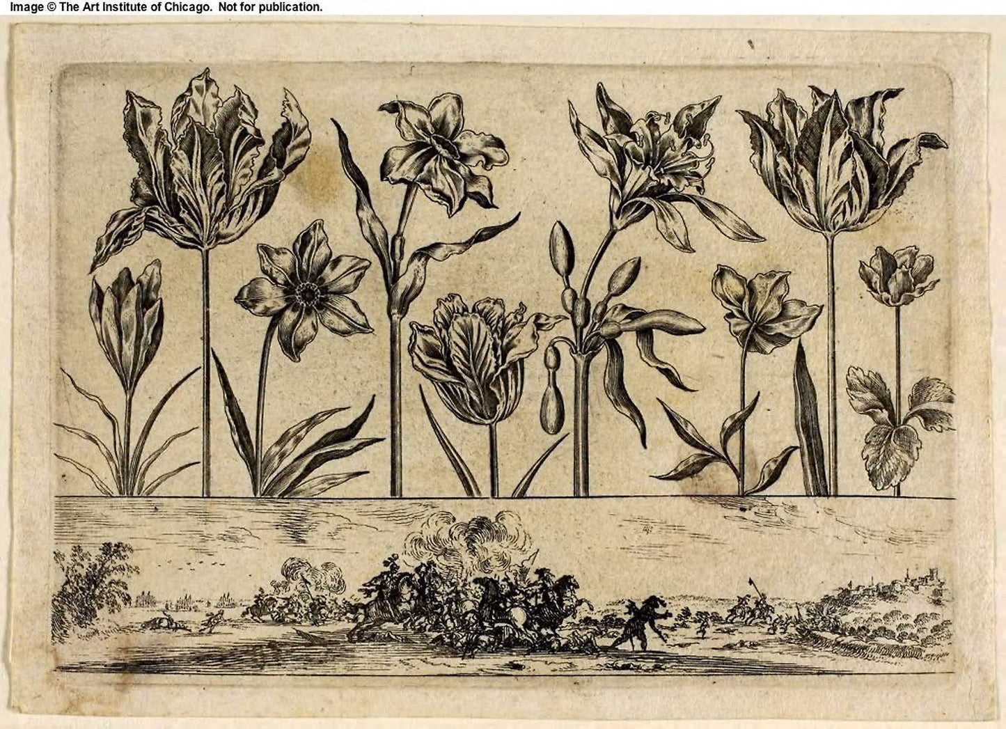 Flowers and Battle Scene, from Livre Nouveau de Fleurs Tres-Util -  Nicolas Cochin (French, 1610-1686),  Poster Print Wall Art