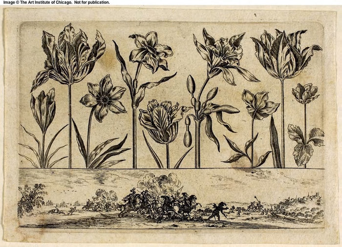 Flowers and Battle Scene, from Livre Nouveau de Fleurs Tres-Util: Nicolas Cochin (French, 1610-1686),16x12