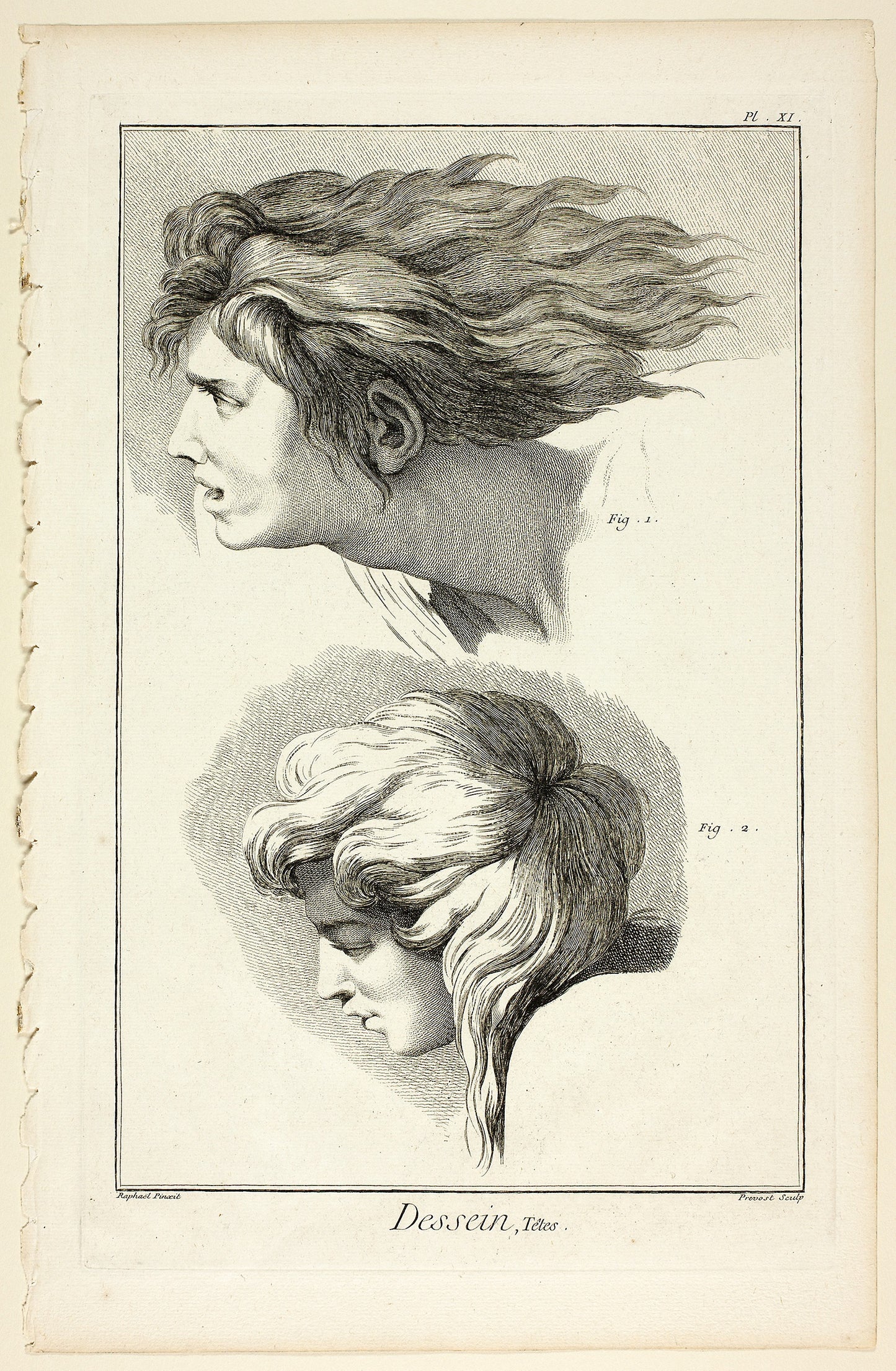 Design -  Heads, from Encyclopédie -  Benoît-Louis Prévost (French, c. 1735-1809),  Poster Print Wall Art