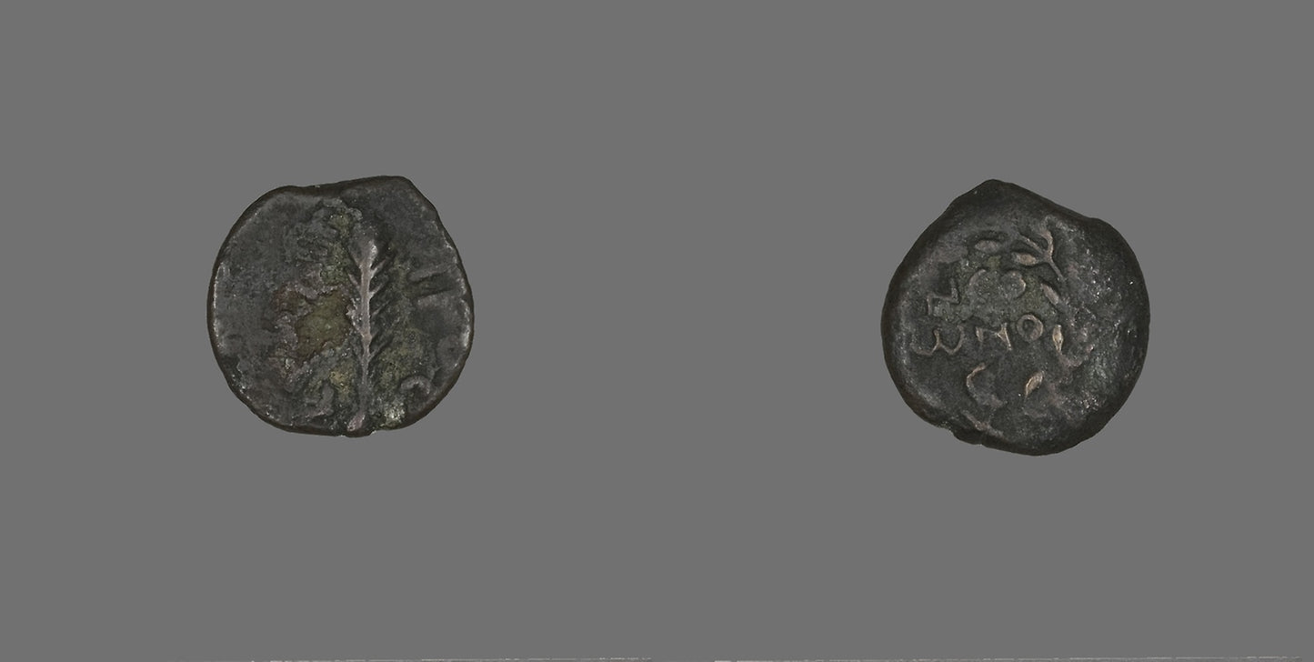 Coin Depicting a Palm Branch -  Roman; Palestine,  Poster Print Wall Art