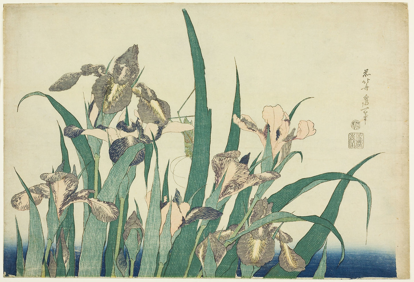 Iris and Grasshopper, from an untitled series of large flowers -  Katsushika Hokusai ?? ??,  Poster Print Wall Art