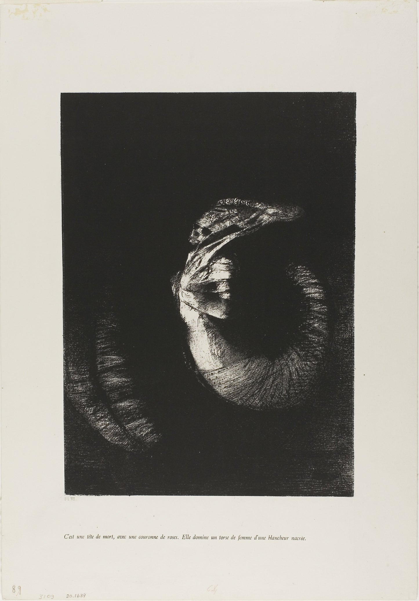 It is a Skull Wreathed in Roses... -  Odilon Redon,  Poster Print Wall Art