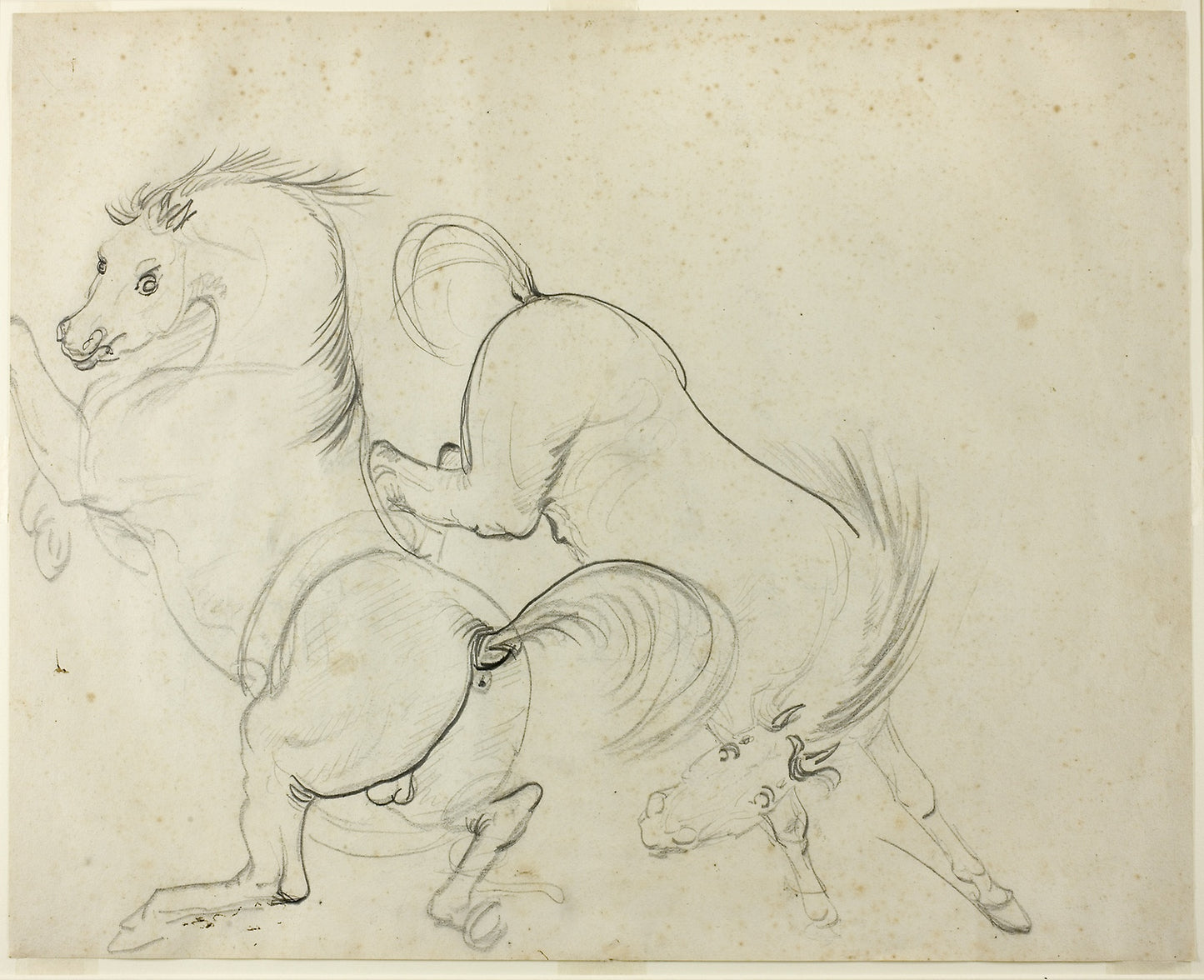 Two Horses Cavorting (recto); Man on a Kicking Horse (verso) -  Carle Vernet,  Poster Print Wall Art