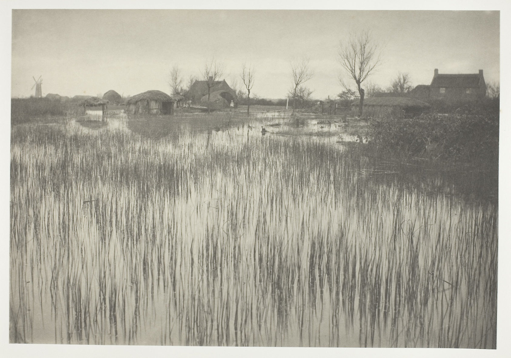 A Rushy Shore: Peter Henry Emerson,16x12"(A3) Poster