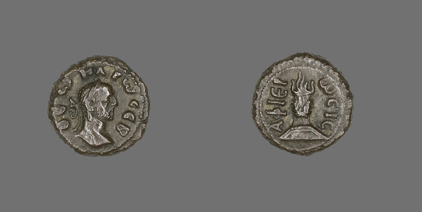 Coin Portraying Emperor Carus -  Roman, minted in Alexandria, Egypt,  Poster Print Wall Art